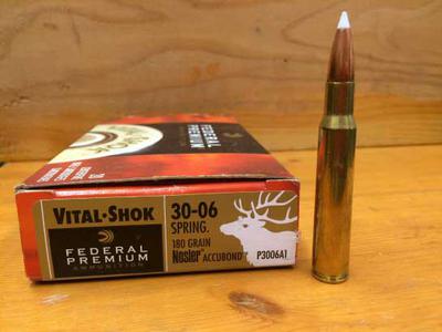 Which Bullet Weight for 30-06 Moose Hunting